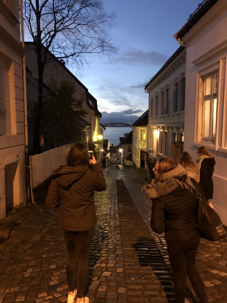 f:id:SmileInNorway:20181112075702j:plain f:id:SmileInNorway:20181112075702j:plain