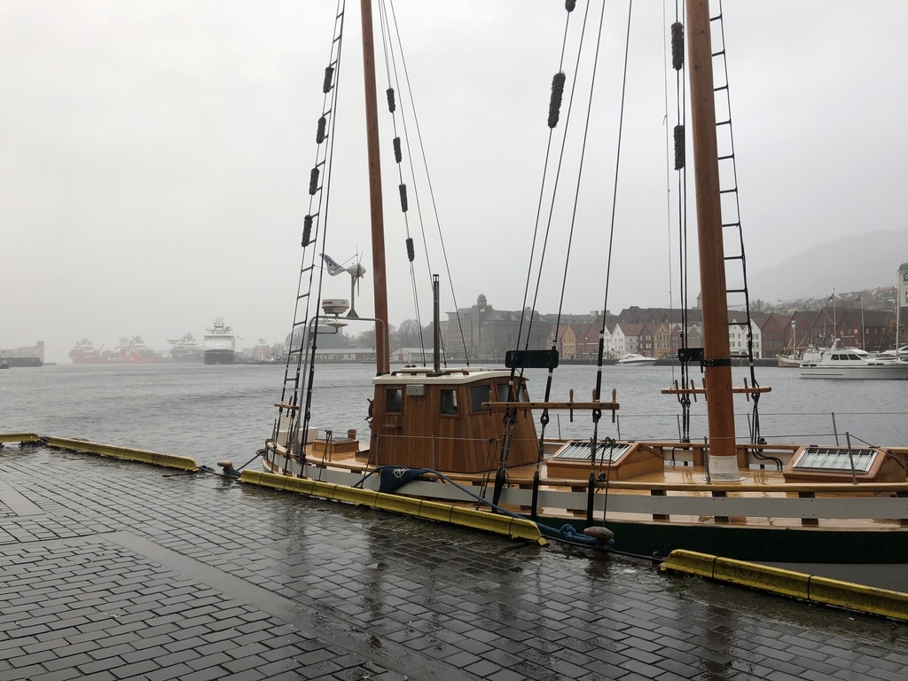 f:id:SmileInNorway:20181125045044j:plain f:id:SmileInNorway:20181125045044j:plain