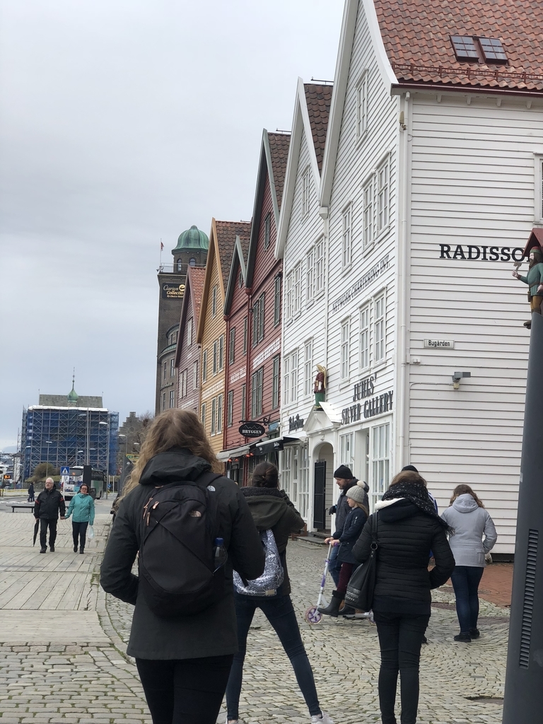 f:id:SmileInNorway:20181125051757j:plain f:id:SmileInNorway:20181125051757j:plain
