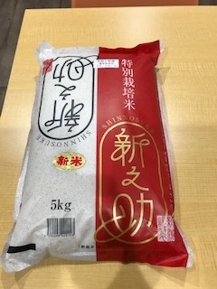 f:id:Smilepappy430:20201113182806j:plain