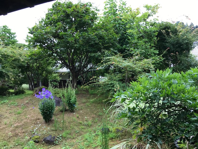 f:id:Smilepappy430:20201205180845j:plain