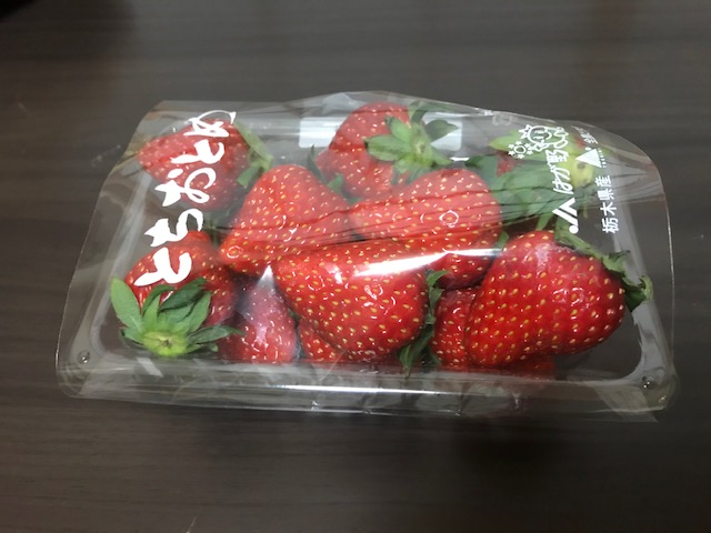 f:id:Smilepappy430:20210107114552j:plain