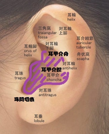 f:id:SmilingSpiral:20170512220843j:plain f:id:SmilingSpiral:20170512220843j:plain