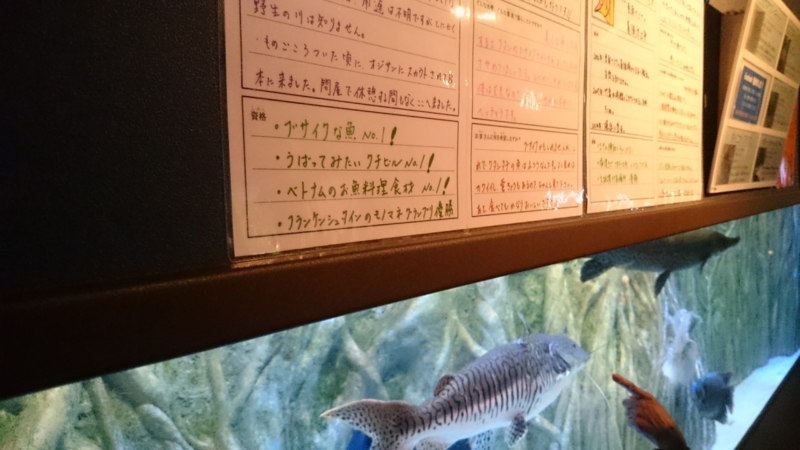 f:id:Smp_1053:20160506111502j:plain f:id:Smp_1053:20160506111502j:plain