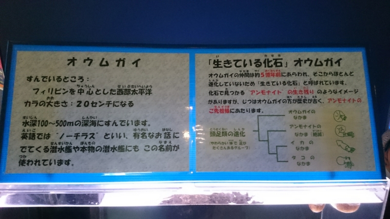 f:id:Smp_1053:20160506114356j:plain f:id:Smp_1053:20160506114356j:plain