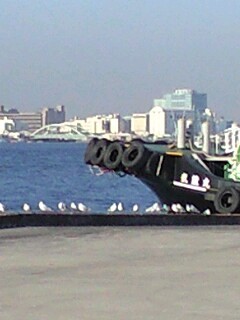 f:id:SnackRed:20071124144549j:image f:id:SnackRed:20071124144549j:image