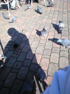 f:id:SnackRed:20071231120525j:image:w200 f:id:SnackRed:20071231120525j:image:w200