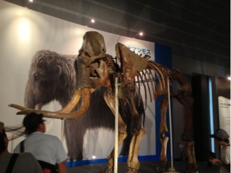 f:id:SnackRed:20130814134326j:image:h200