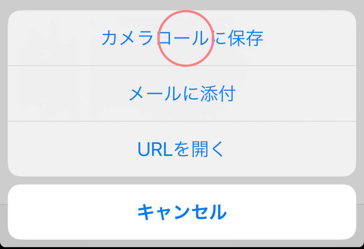 f:id:Snow9:20210518231932j:image
