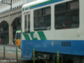 [電車][路面電車][熊本市電]9203  2009-05-30 15:44:16