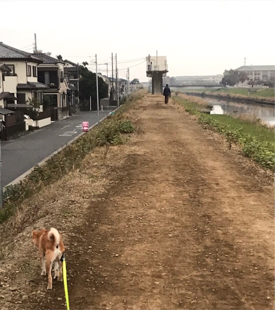 寂しい景色 柴犬と 豆柴の境界線 僕達のあしあと