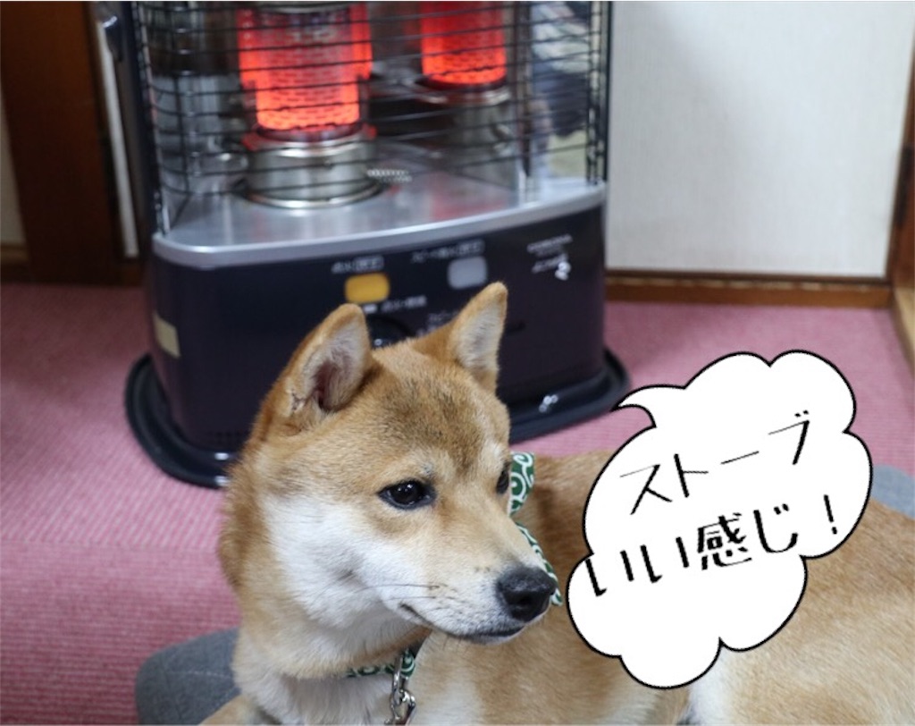 f:id:Snowkey:20180102131724j:image f:id:Snowkey:20180102131724j:image