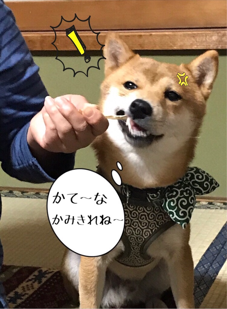 f:id:Snowkey:20180102215814j:image f:id:Snowkey:20180102215814j:image