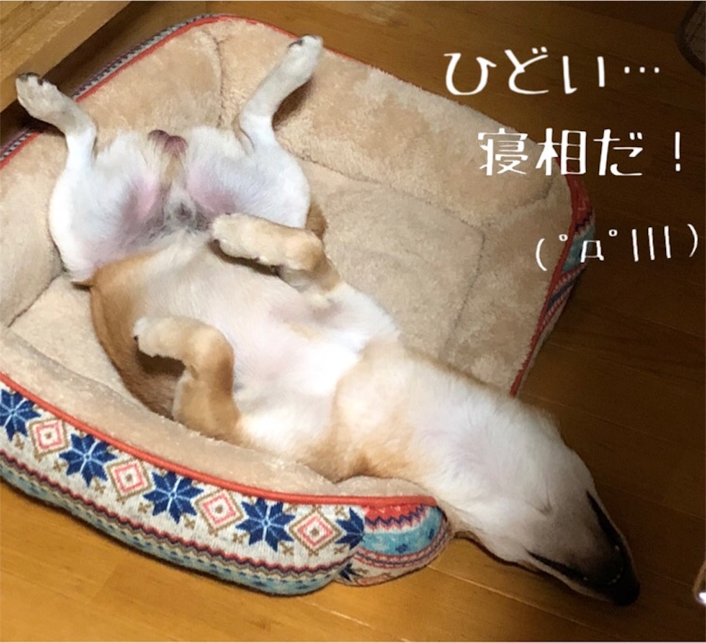 f:id:Snowkey:20180102220407j:image f:id:Snowkey:20180102220407j:image