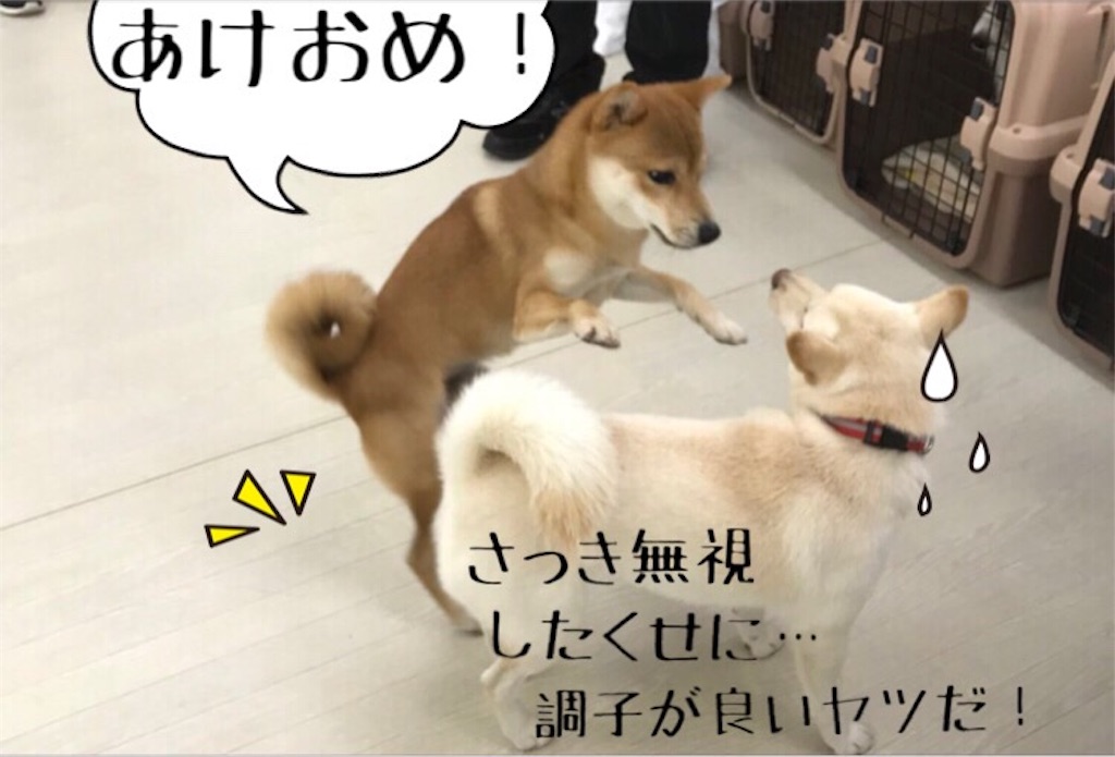f:id:Snowkey:20180109223851j:image f:id:Snowkey:20180109223851j:image