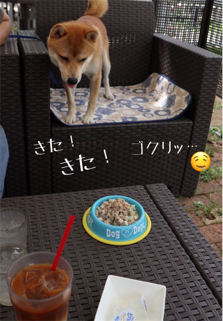 f:id:Snowkey:20180811053801j:image f:id:Snowkey:20180811053801j:image