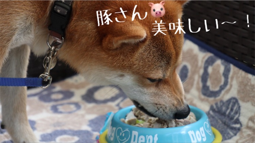 f:id:Snowkey:20180811053814j:image f:id:Snowkey:20180811053814j:image