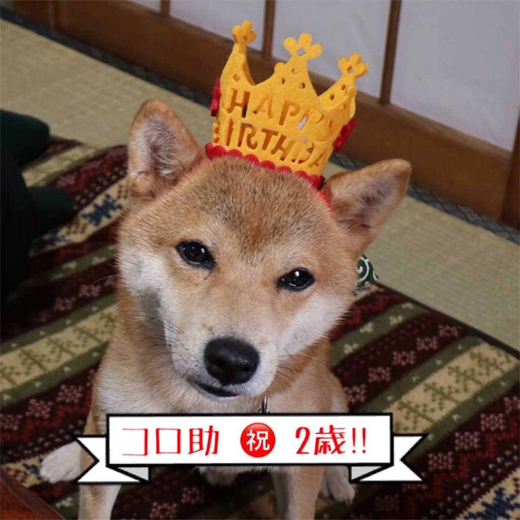 f:id:Snowkey:20181118172755j:image f:id:Snowkey:20181118172755j:image