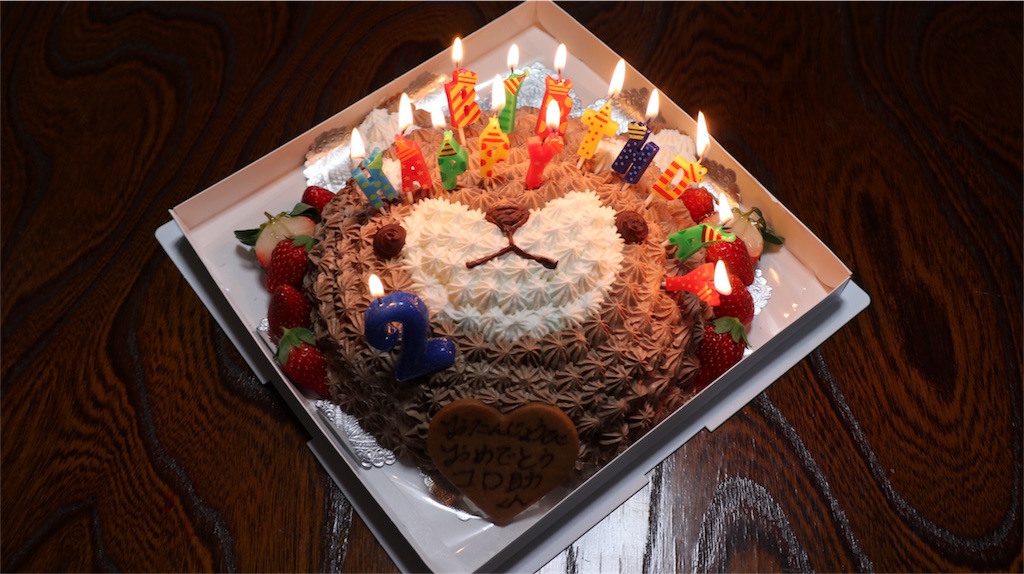 f:id:Snowkey:20181118173711j:image f:id:Snowkey:20181118173711j:image