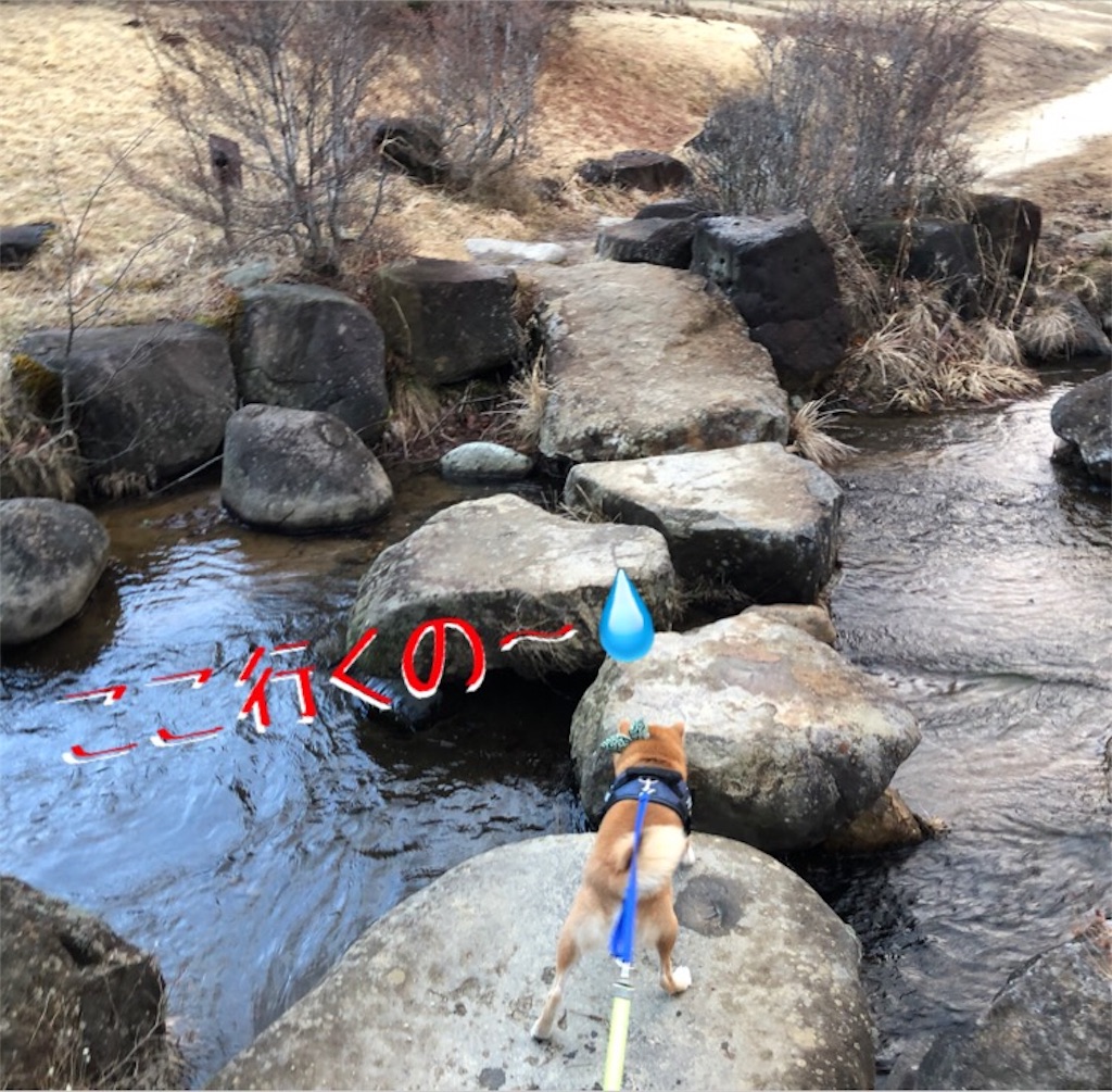 f:id:Snowkey:20200222111031j:image f:id:Snowkey:20200222111031j:image