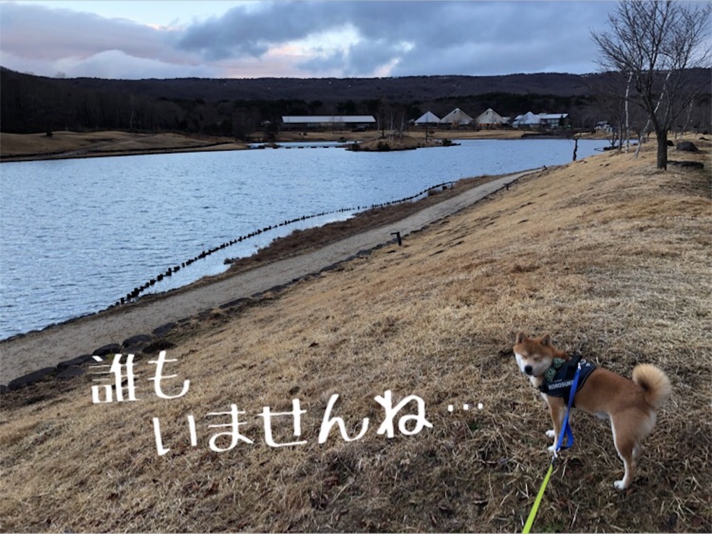 f:id:Snowkey:20200222111040j:image f:id:Snowkey:20200222111040j:image