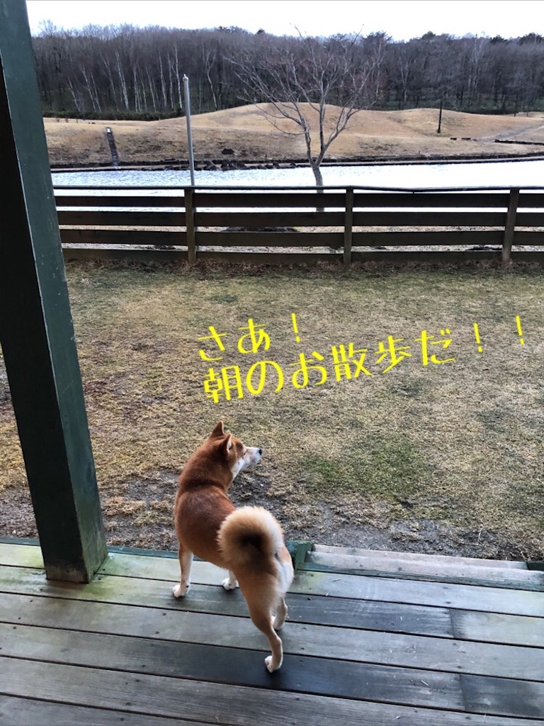 f:id:Snowkey:20200222111221j:image f:id:Snowkey:20200222111221j:image