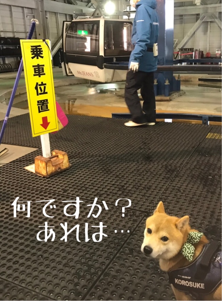 f:id:Snowkey:20200222111432j:image f:id:Snowkey:20200222111432j:image
