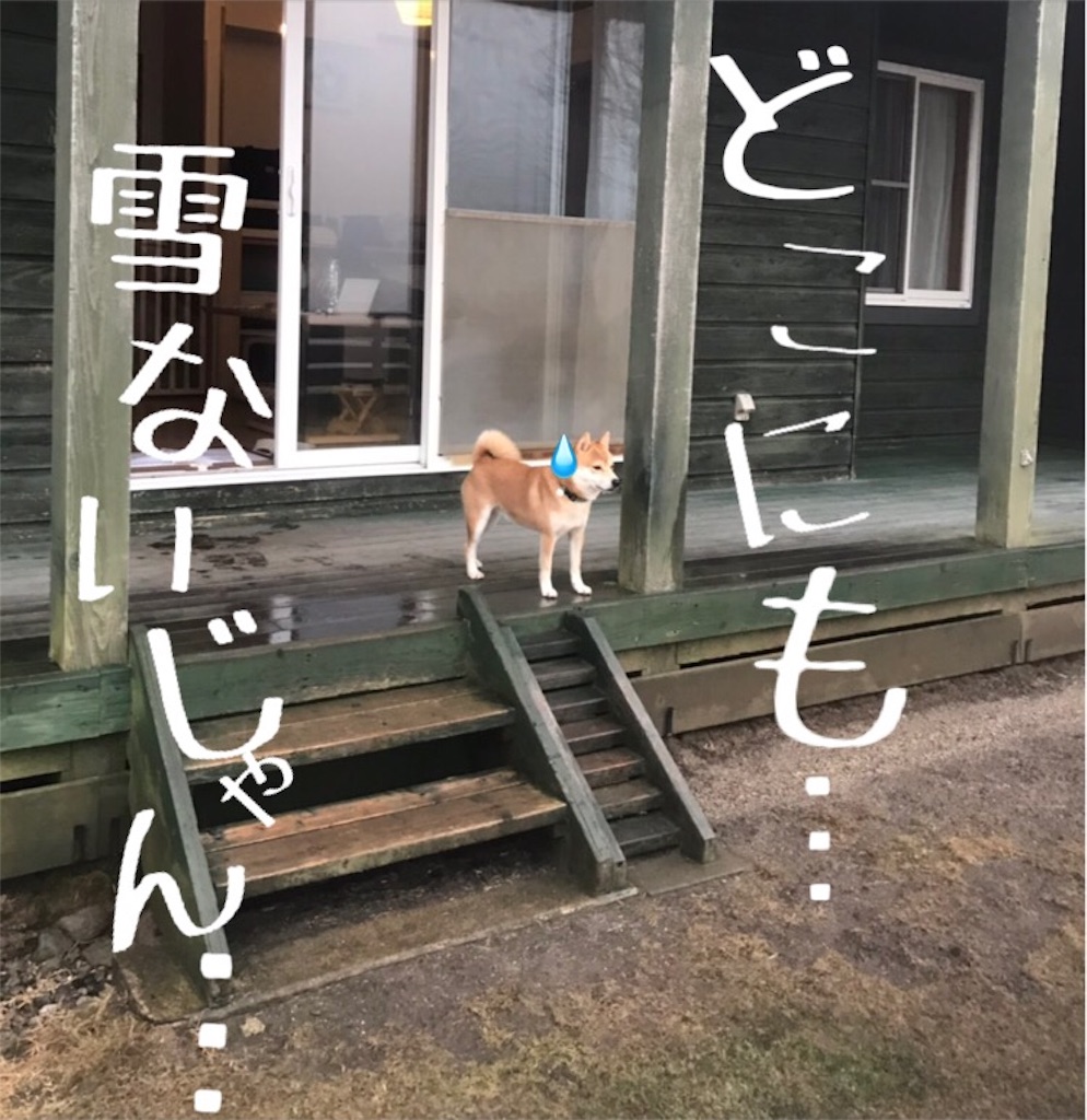 f:id:Snowkey:20200222233931j:image f:id:Snowkey:20200222233931j:image