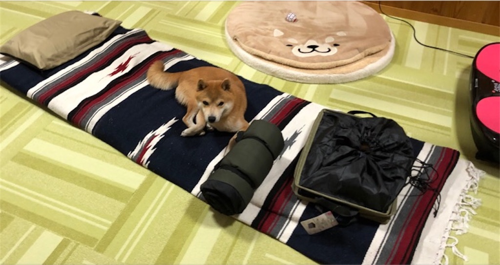 f:id:Snowkey:20201012083657j:image f:id:Snowkey:20201012083657j:image