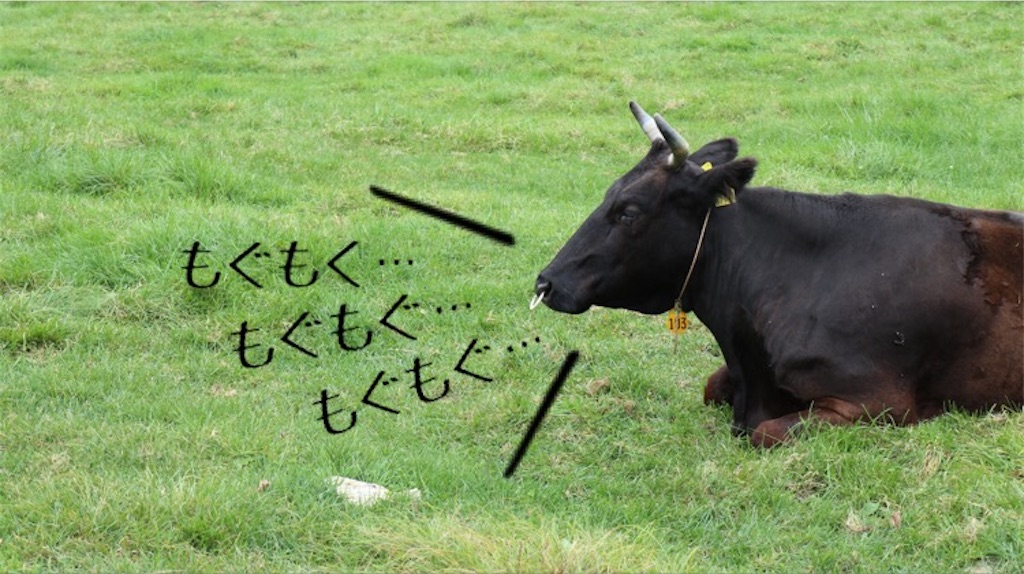 f:id:Snowkey:20201012214041j:image f:id:Snowkey:20201012214041j:image