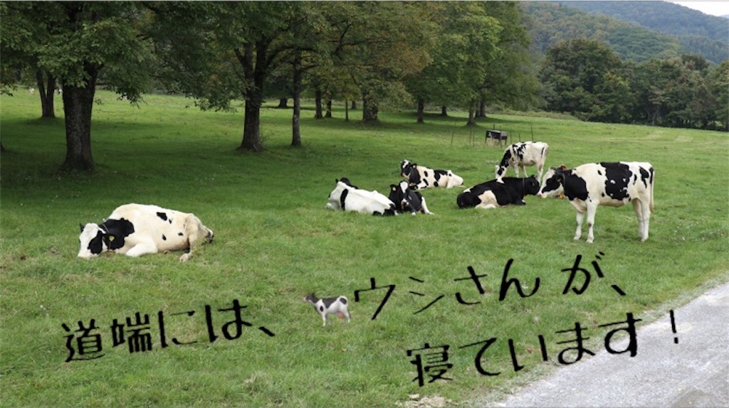 f:id:Snowkey:20201012214107j:image f:id:Snowkey:20201012214107j:image