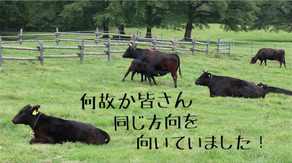 f:id:Snowkey:20201012214113j:image f:id:Snowkey:20201012214113j:image