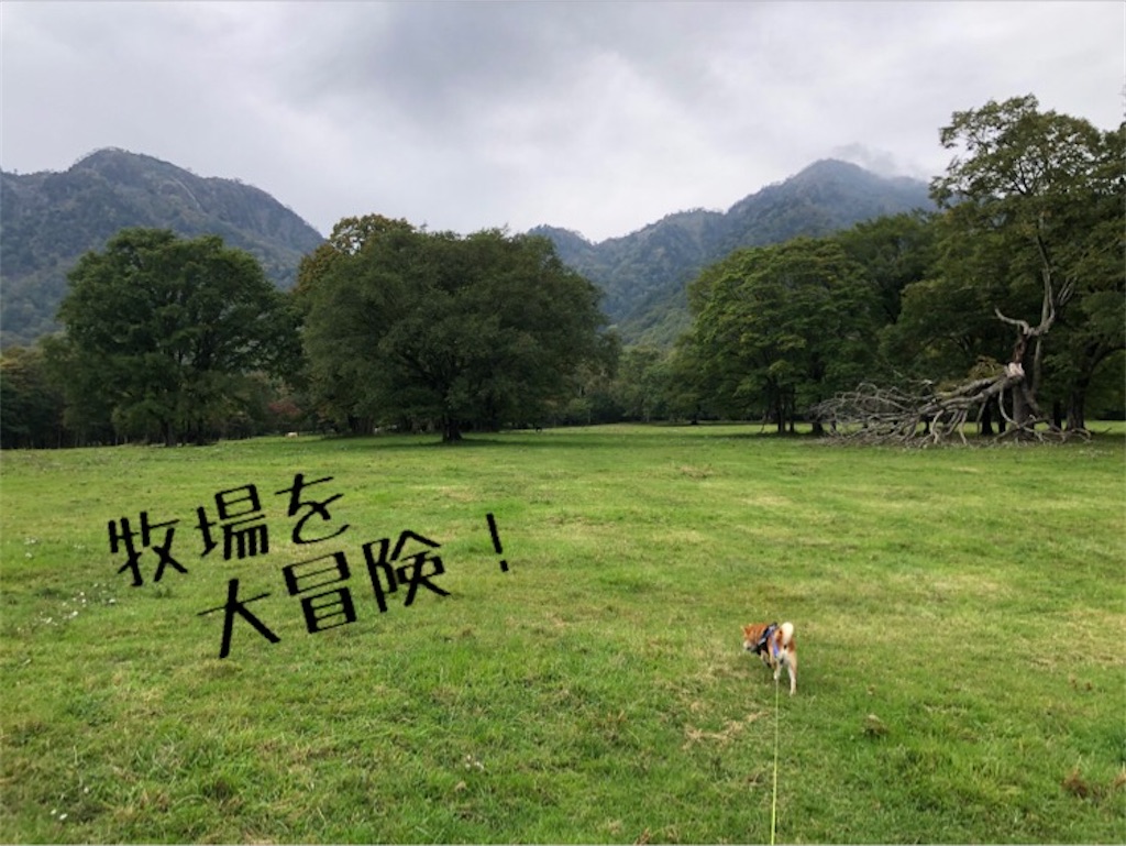 f:id:Snowkey:20201012214132j:image f:id:Snowkey:20201012214132j:image