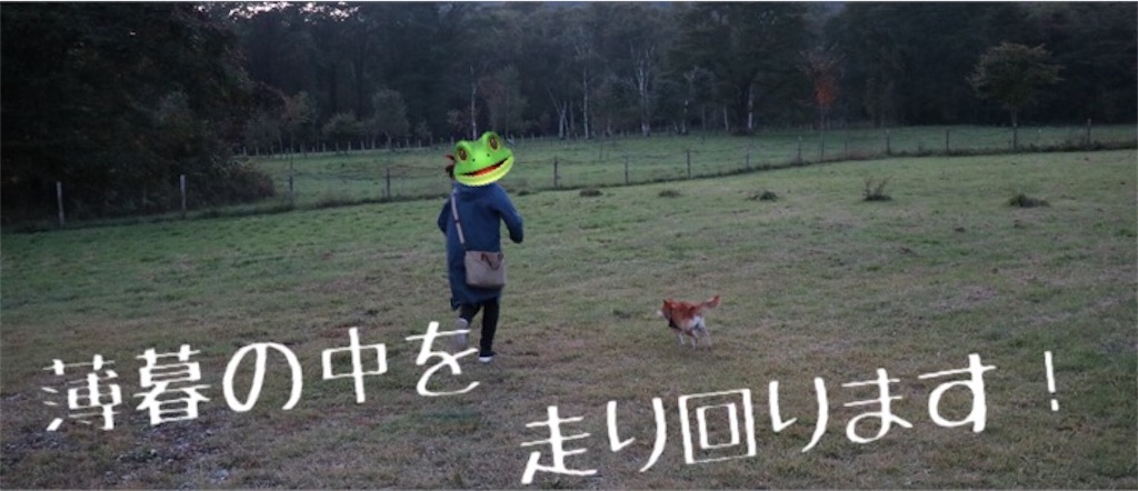 f:id:Snowkey:20201012214644j:image f:id:Snowkey:20201012214644j:image