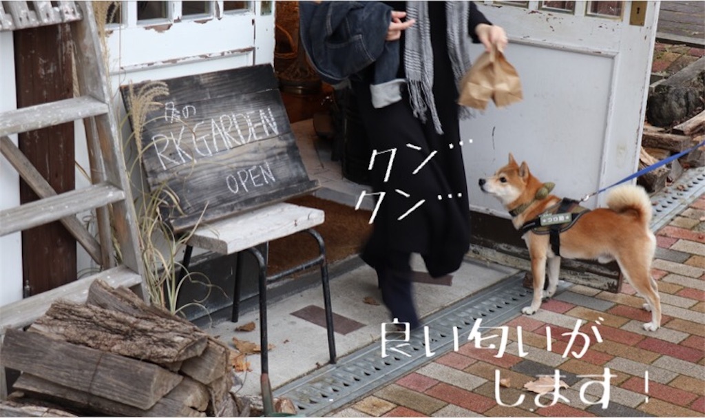 f:id:Snowkey:20201130190826j:image f:id:Snowkey:20201130190826j:image