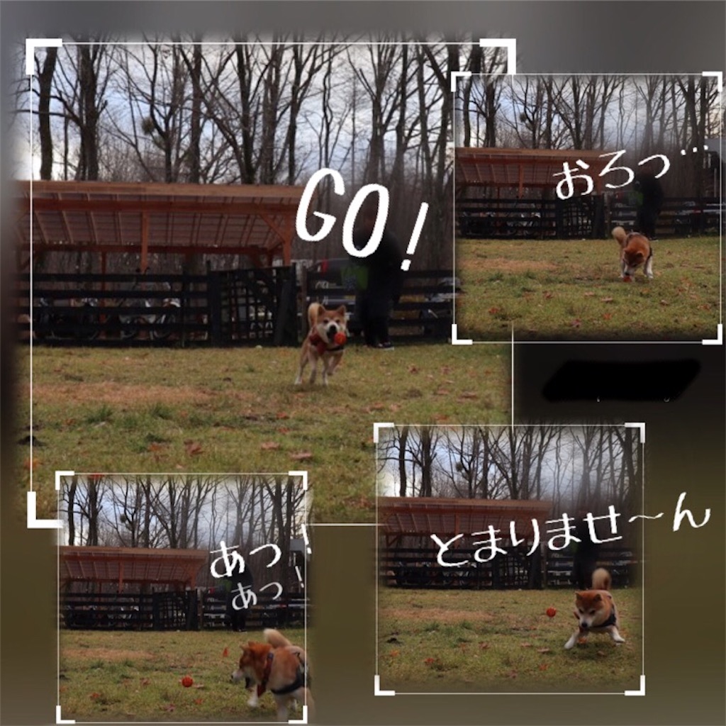 f:id:Snowkey:20201201071556j:image f:id:Snowkey:20201201071556j:image