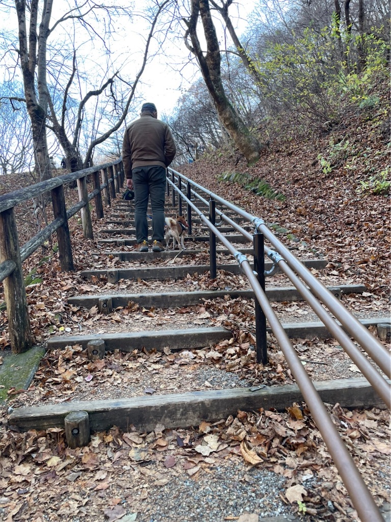 f:id:Snowkey:20201201193303j:image f:id:Snowkey:20201201193303j:image
