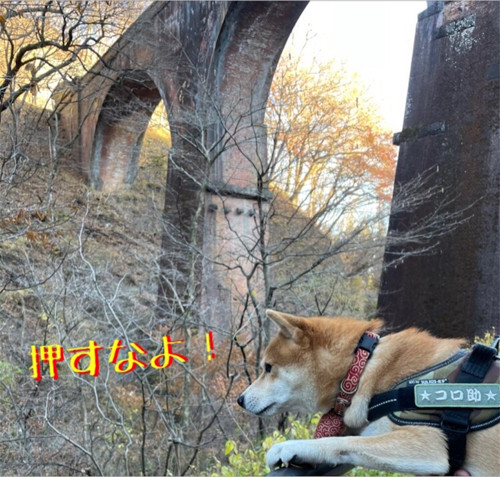 f:id:Snowkey:20201202070315j:image f:id:Snowkey:20201202070315j:image