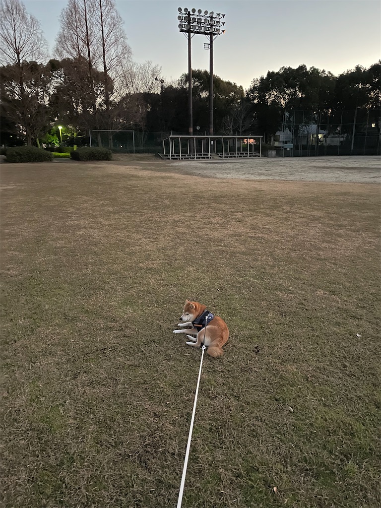 f:id:Snowkey:20230101185249j:image