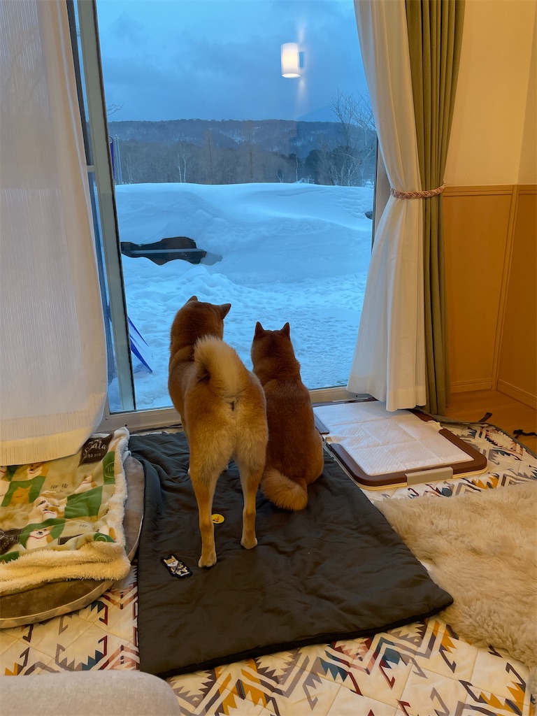 f:id:Snowkey:20230101185412j:image
