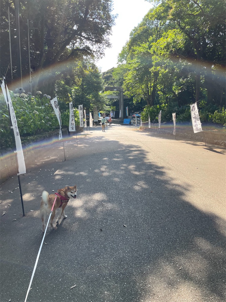 f:id:Snowkey:20230101195556j:image