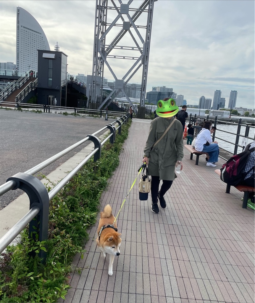 f:id:Snowkey:20230101211634j:image