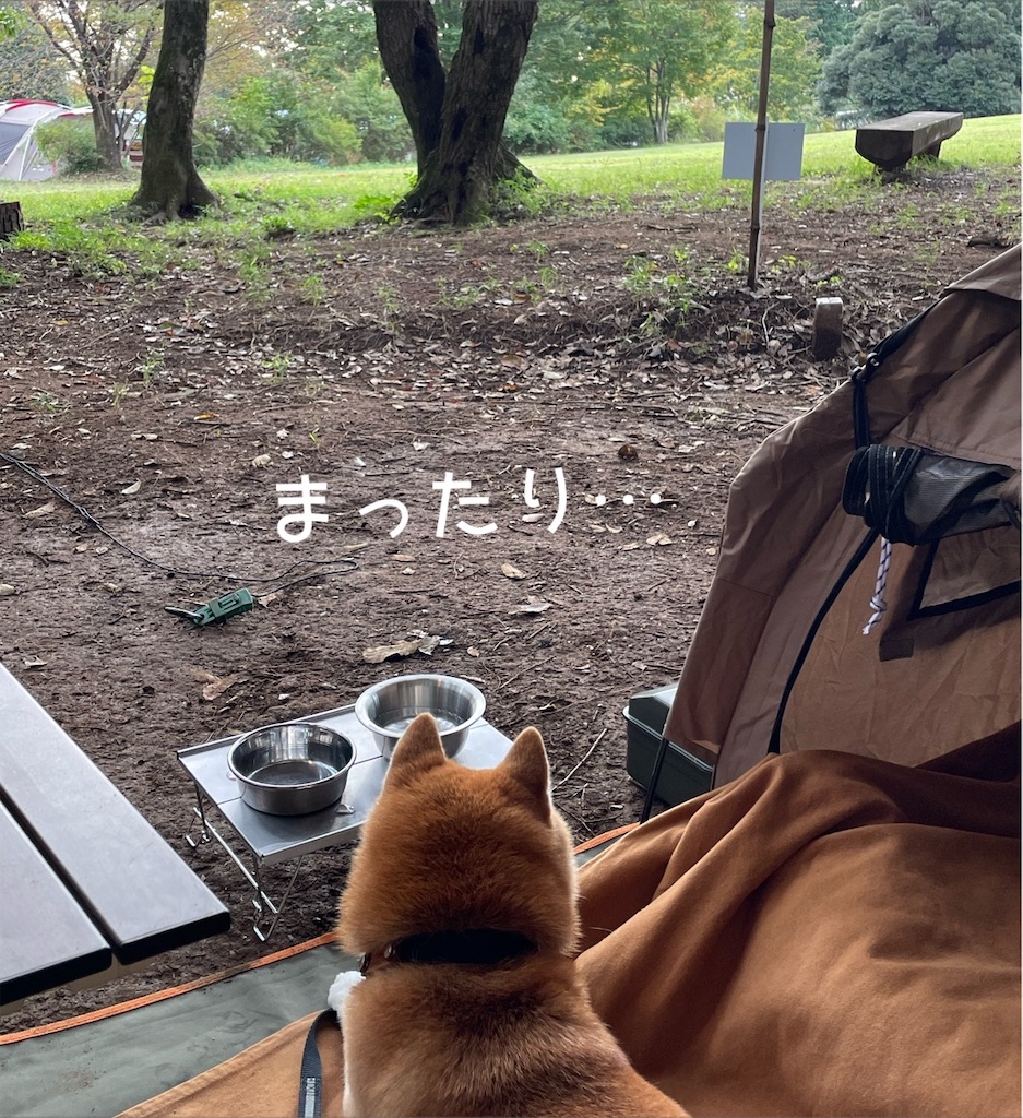 f:id:Snowkey:20230101211936j:image