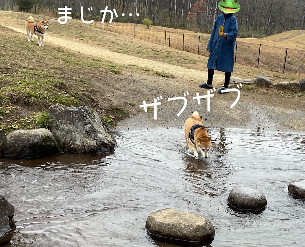 f:id:Snowkey:20230101212058j:image
