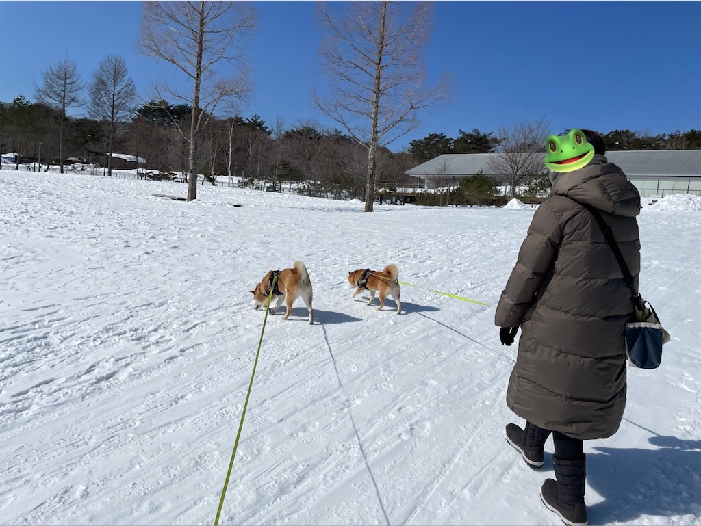 f:id:Snowkey:20230101214503j:image