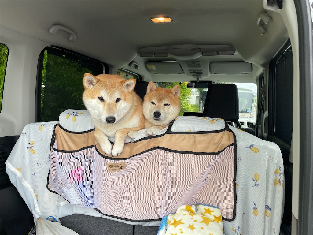 f:id:Snowkey:20230628074542j:image