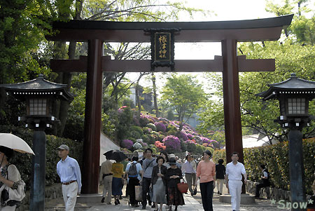 根津神社 2010-05-05 14:44:05