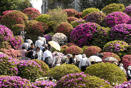 根津神社 2010-05-05 14:48:55