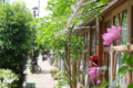[東京][街角][路地]藍染大通り　2012-05-10