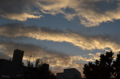 [空][雲][夕焼け]根津　2012-07-16